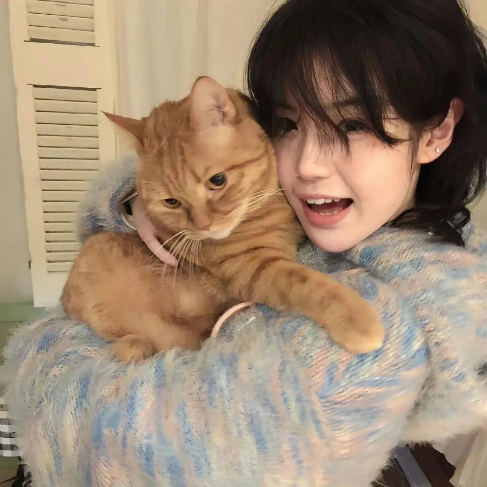 理科生坠入情网故尝试证明第一季